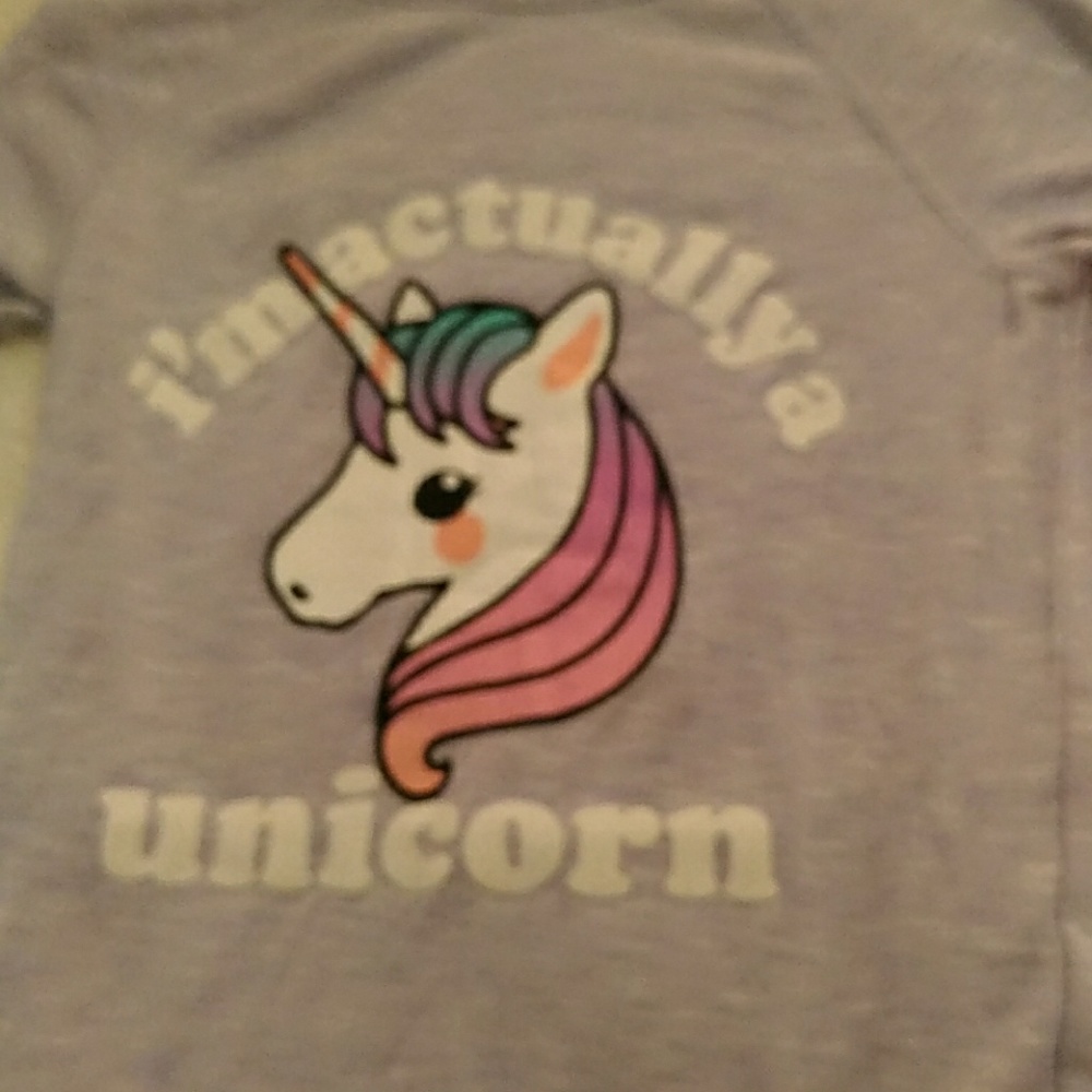 I'm actually a unicorn, graphic sweater
